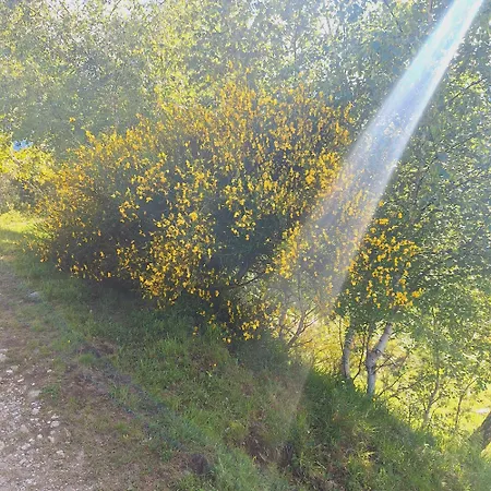 Lo Chalet Della Zia Marianna Διαμέρισμα *