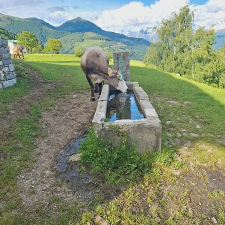 Daire Lo Chalet Della Zia Marianna Vercana