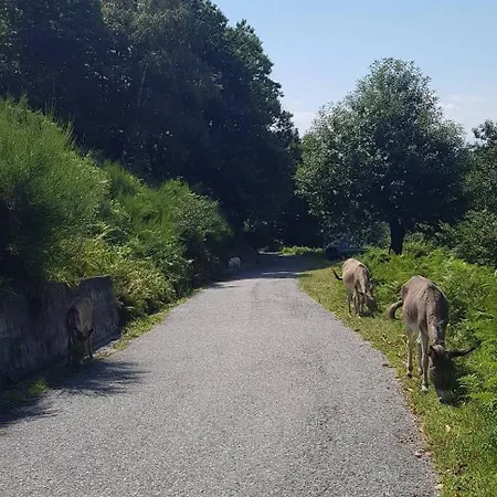 Lo Chalet Della Zia Marianna فيركانا
